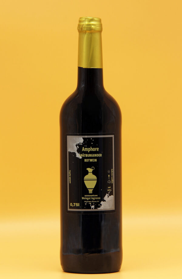 Spätburgunder Rotwein aus der Amphore